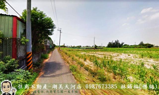 鹽水農地-8