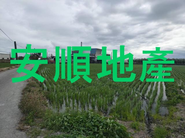 台東台東市農地-6