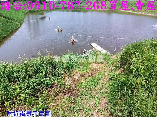 台南麻豆養殖地-6