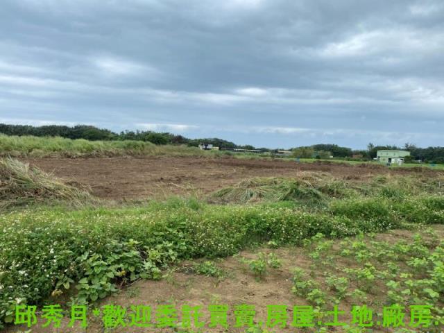 淡水農地-4