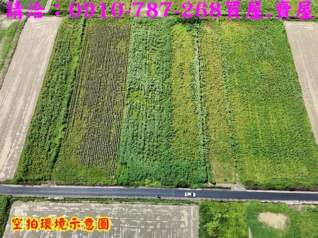佳里農地-5