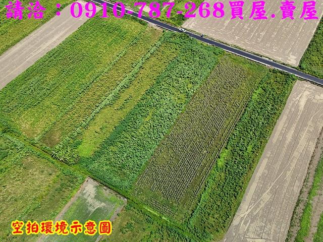 佳里農地-6