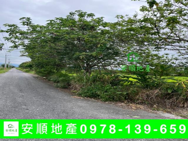 台東市農地-1