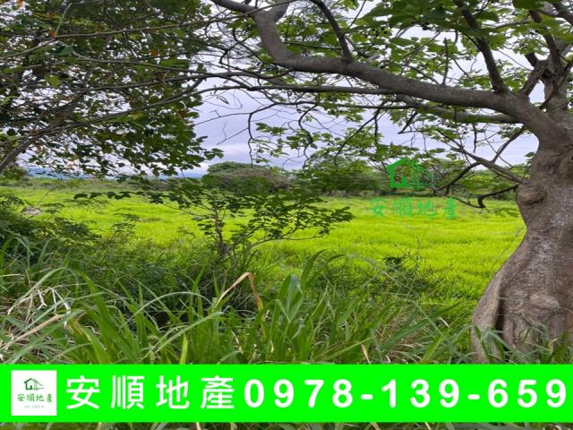 台東市農地-4