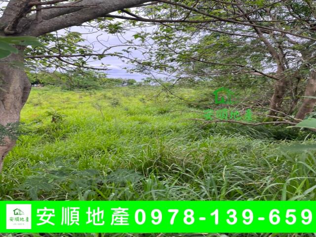 台東市農地-5