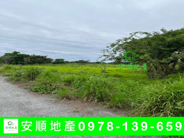 台東市農地-8