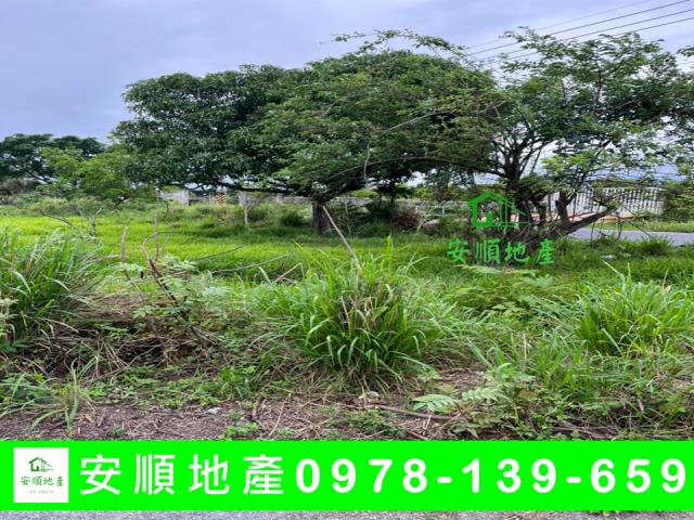 台東市農地-9