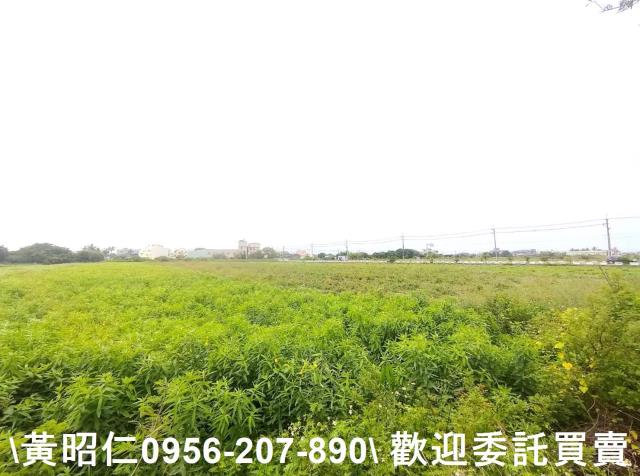 佳里農地-4
