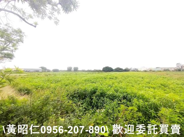 佳里農地-5