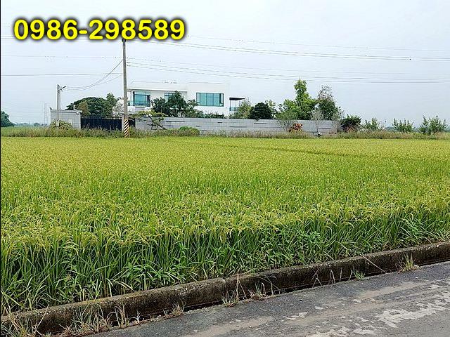 台南白河農地-1