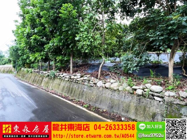 台中豐原農地-2