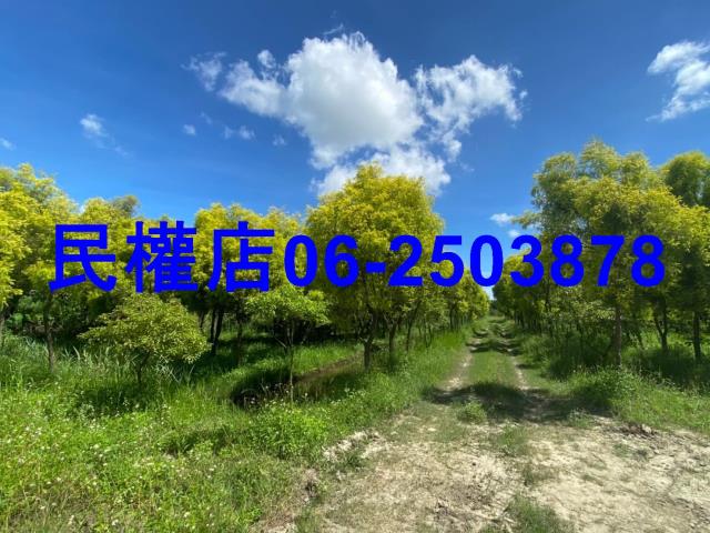 六甲農地-7