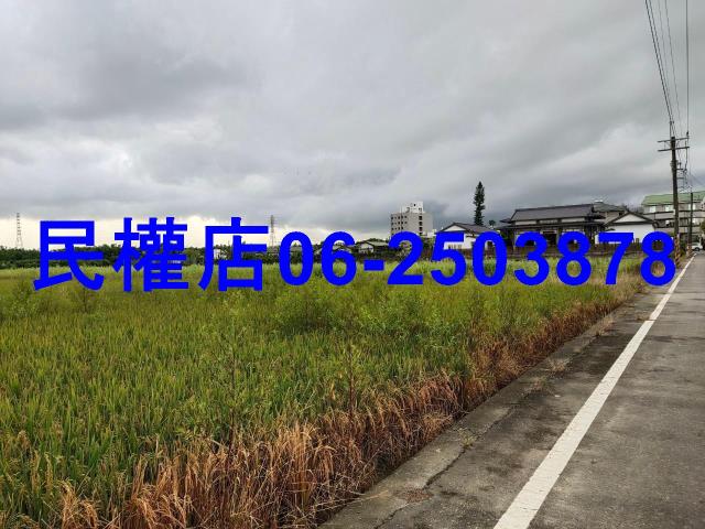 新市農地-12