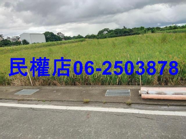新市農地-15