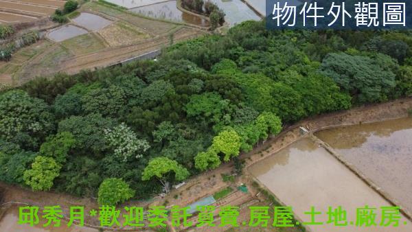 三芝都市計畫內-3