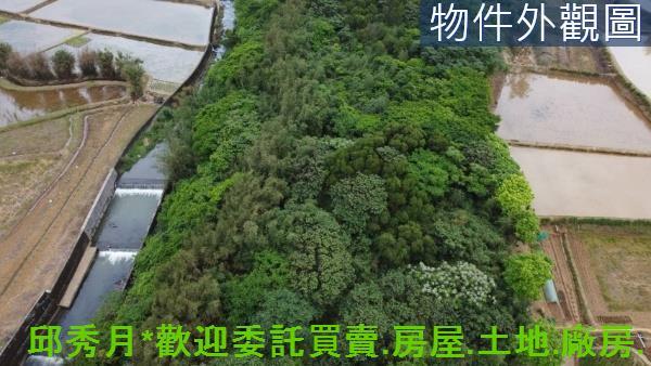 三芝都市計畫內-4
