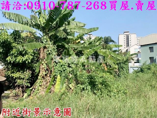 善化建地-4