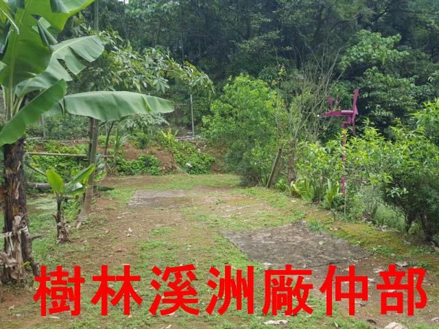 土城農地-6