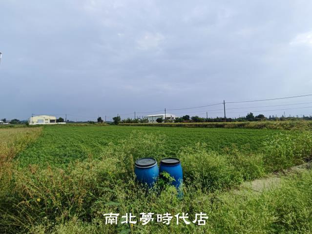 台南農地-4