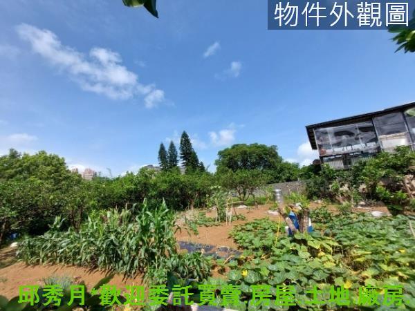 新北淡水二期二-4