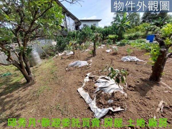 新北淡水二期二-7