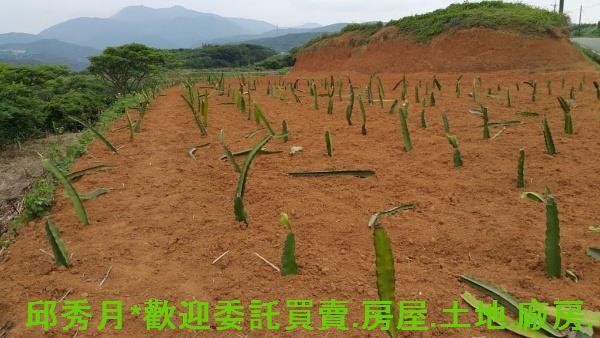 新北石門都市計畫內-4