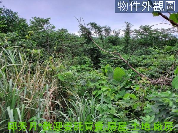 新北石門農地-4