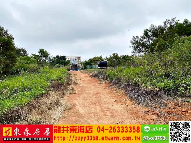 龍井農地-2