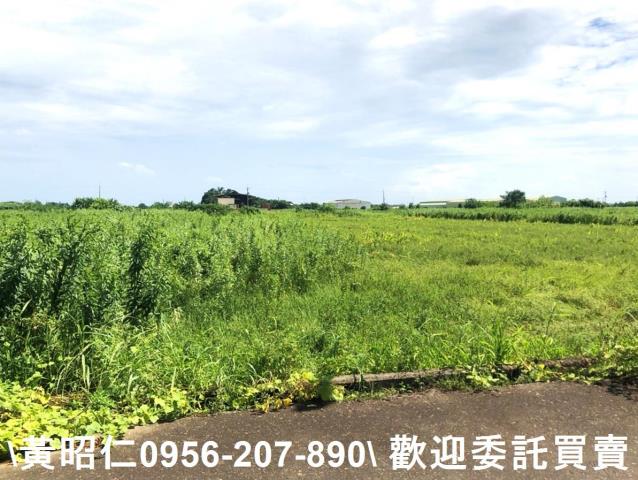 台南農地-7