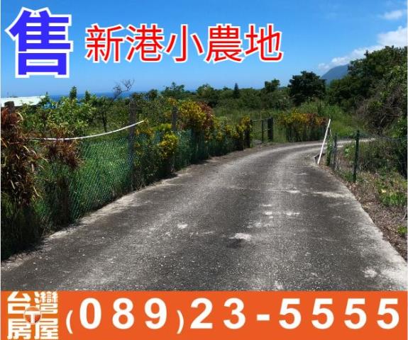 新港小農地