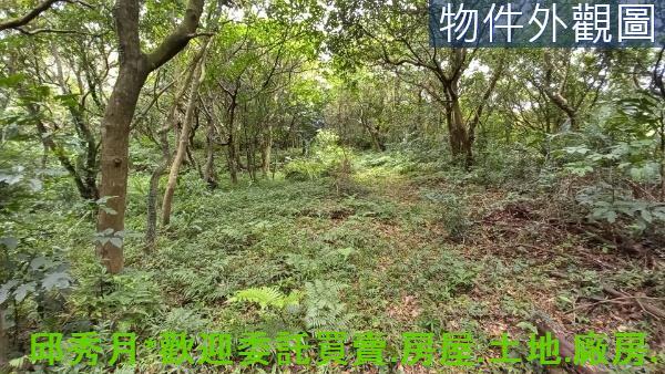 新北石門農地-5