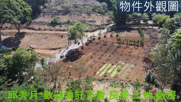 新北淡水農地-2