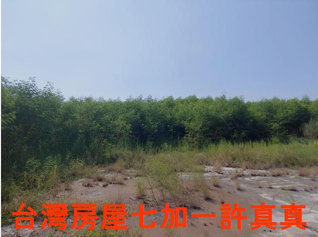 台南新營工業地-1