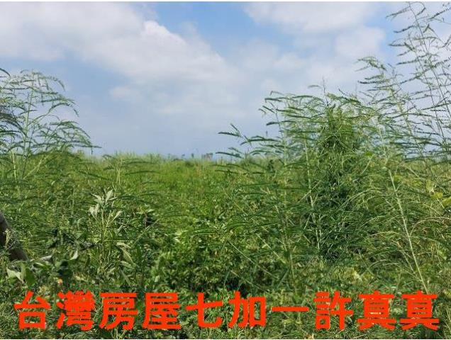 台南麻豆工業地-1