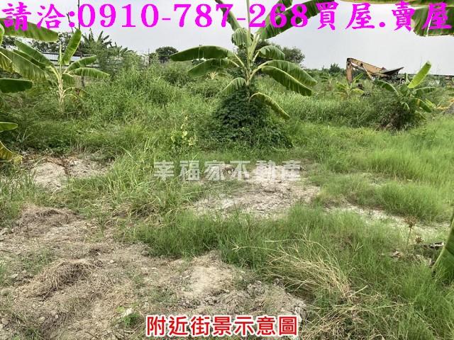 台南安南農地-4