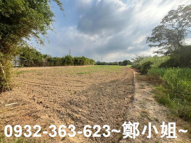 桃園新屋農地-9