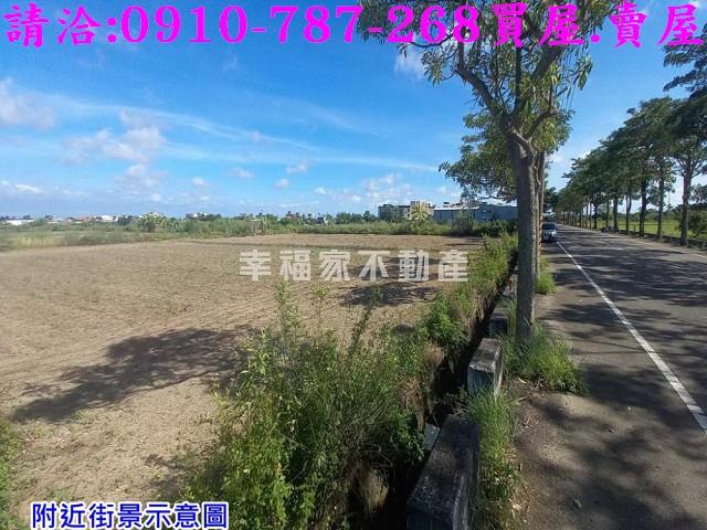 佳里農地-12