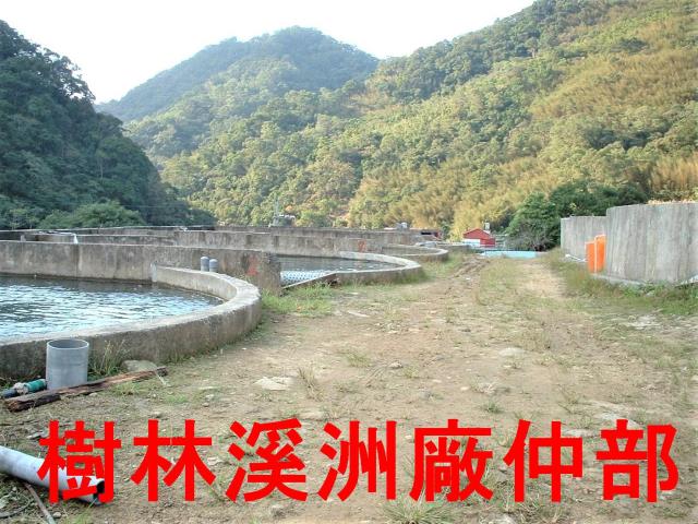 三峽農地-1