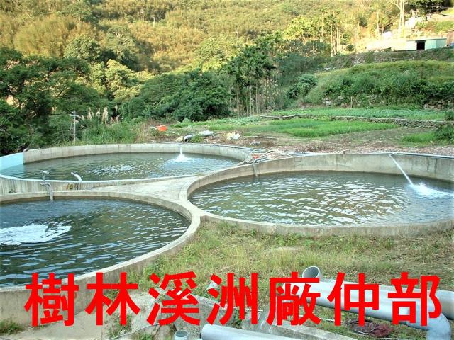 三峽農地-3