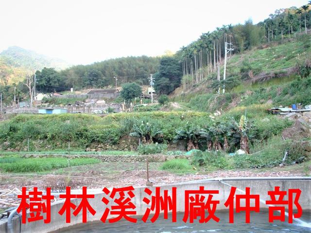 三峽農地-4