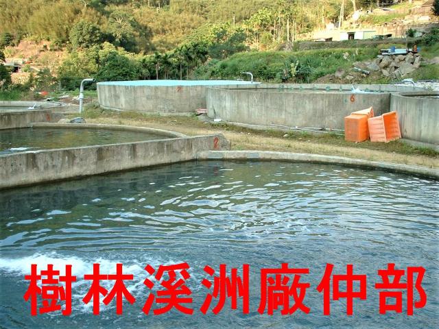 三峽農地-5