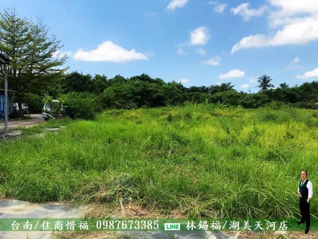 安南農地-4