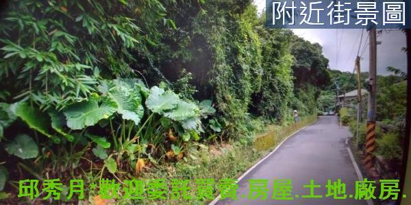 淡水林地-2