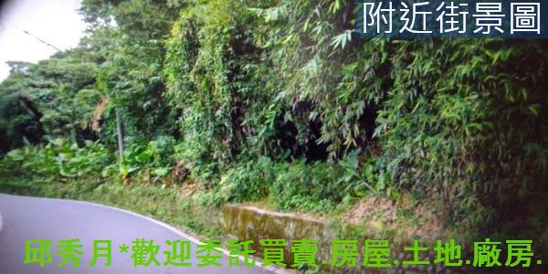 淡水林地-6