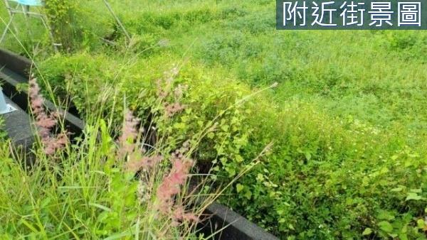 台南新市農地-2