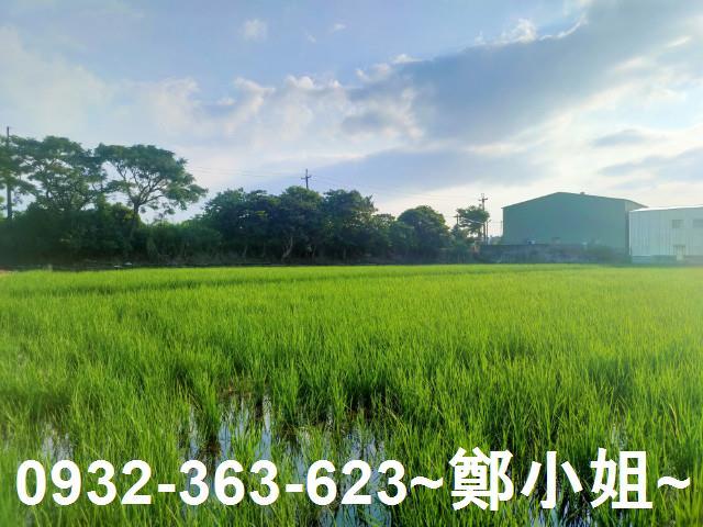 八德農地-6