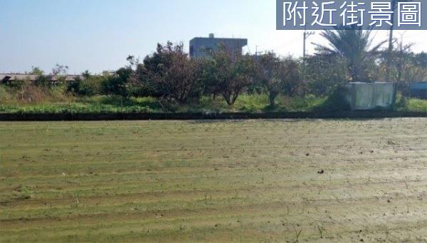 將軍建地-10