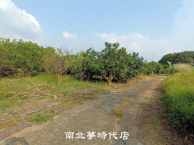 左鎮農地-2