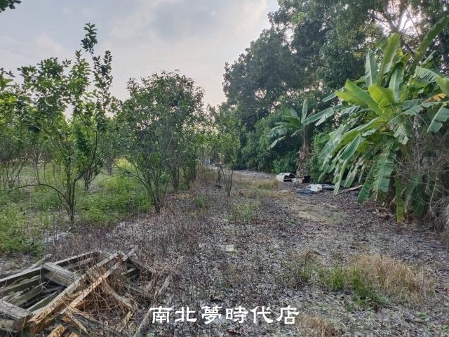 左鎮農地-6