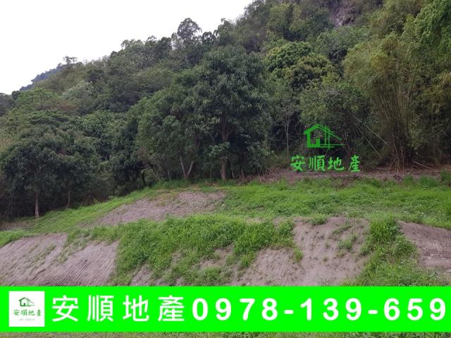 台東東河農地-2